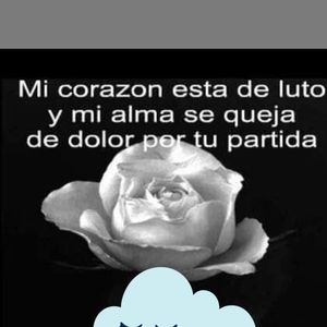 Meet your Posher, Arylu